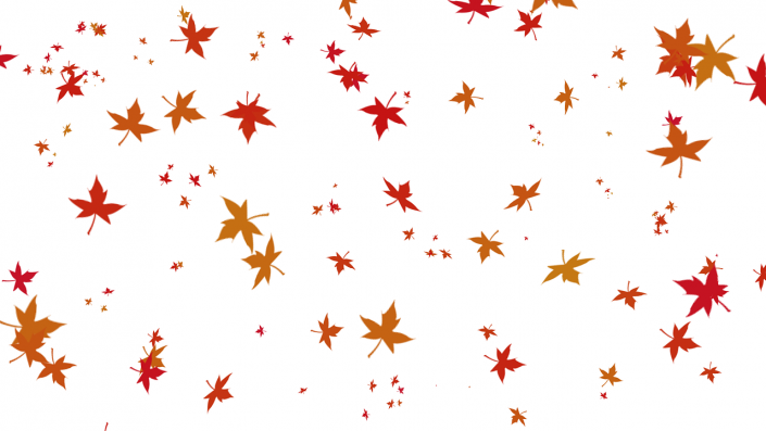 the-leaves-are-934726_1280