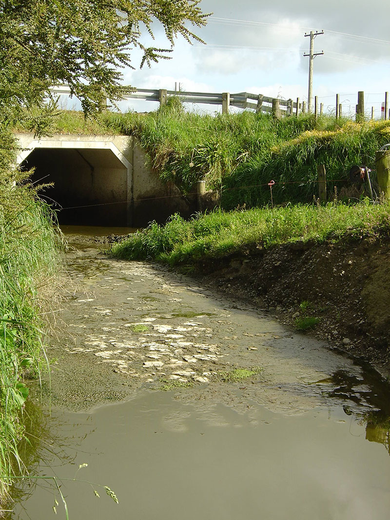 polluted water-min-reduced